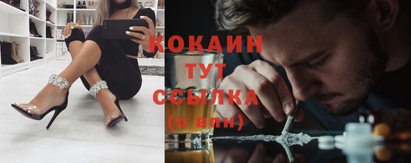 соль ск Михайлов