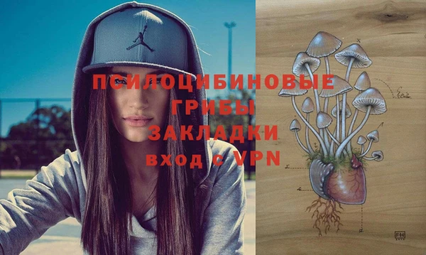 тгк Михайловск