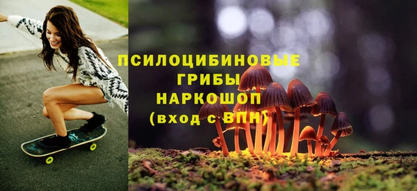 тгк Михайловск