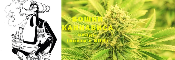 соль ск Михайлов