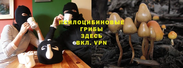 apvp Михайловка