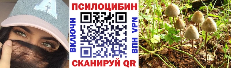 Псилоцибиновые грибы Psilocybine cubensis  Купить  Костерёво 